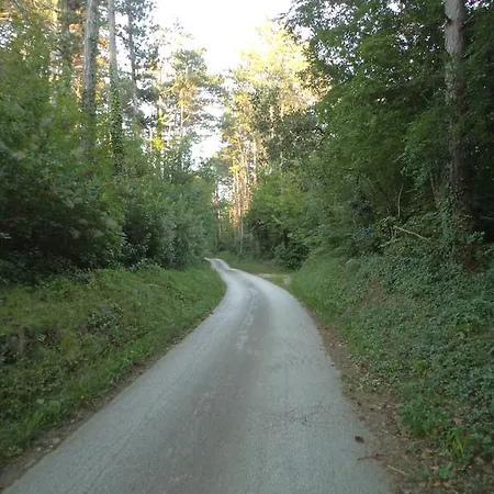 Xenia & Desiderio Apartman Buzet